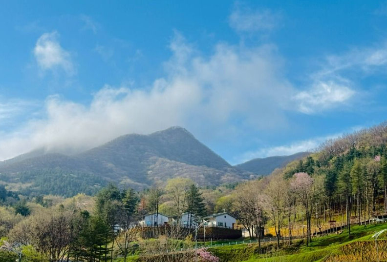국립진안고원산림치유원사진
