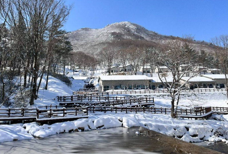 국립진안고원산림치유원사진
