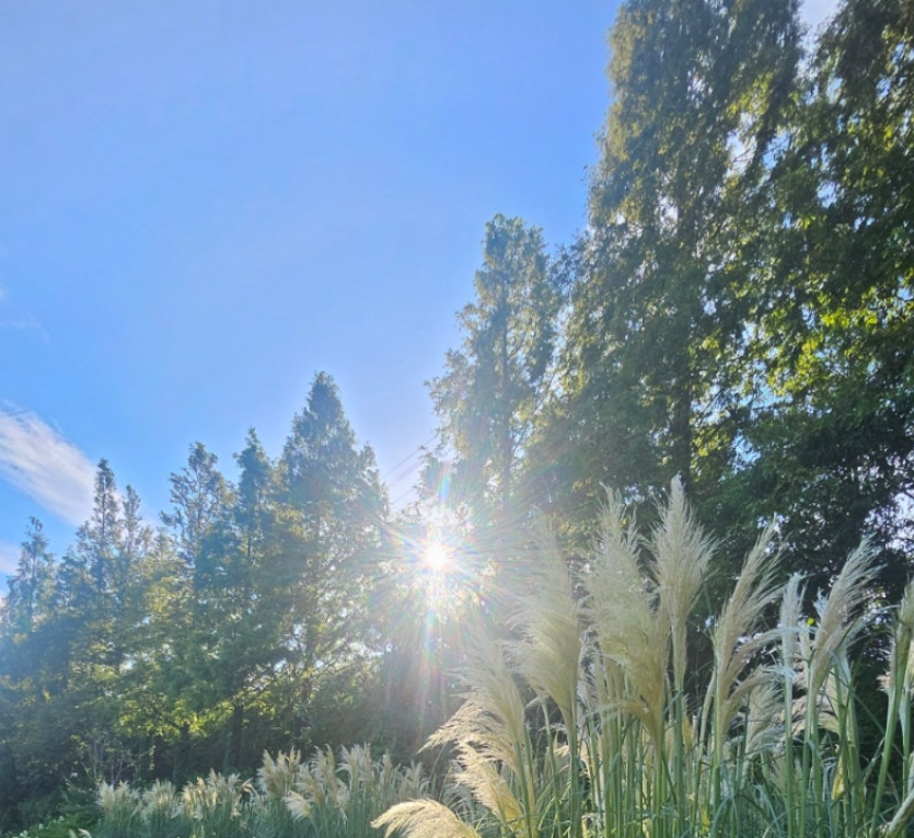 태안 청산수목원