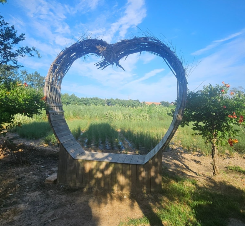 태안 청산수목원