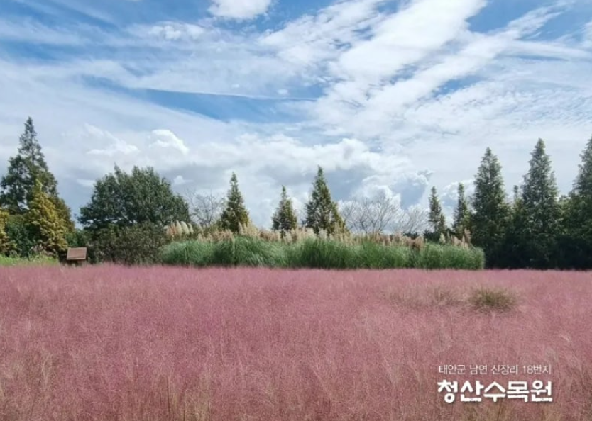 태안 청산수목원