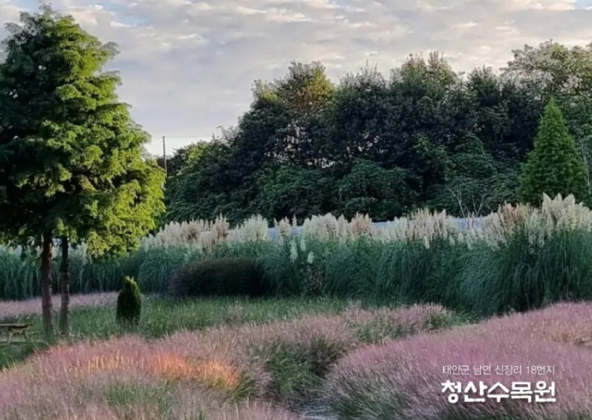 태안 청산수목원