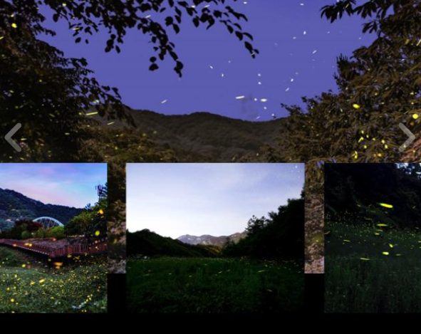 무주반딧불축제