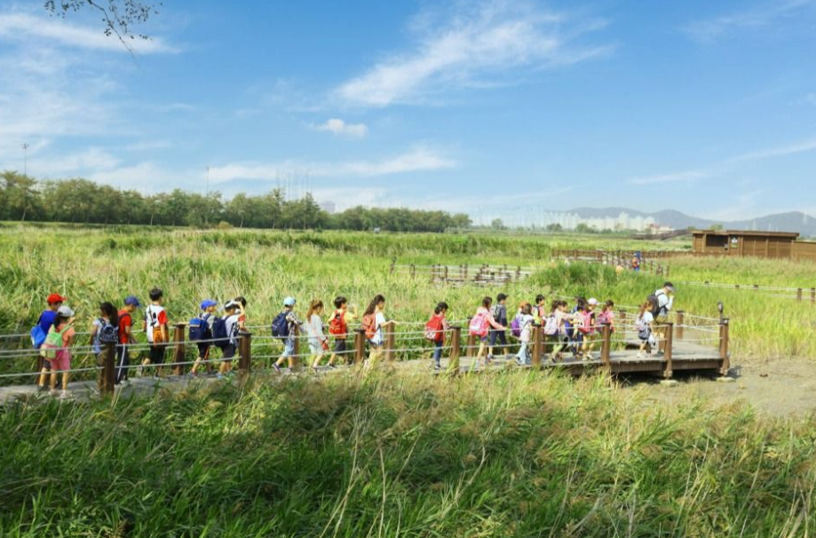 시흥갯골축제 사진