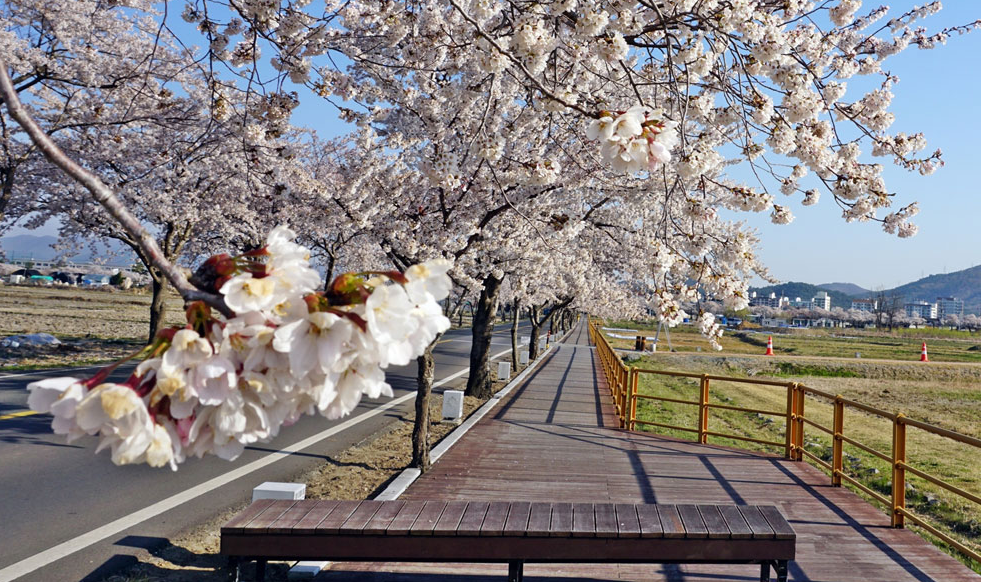 경주 걷기 졶은 길