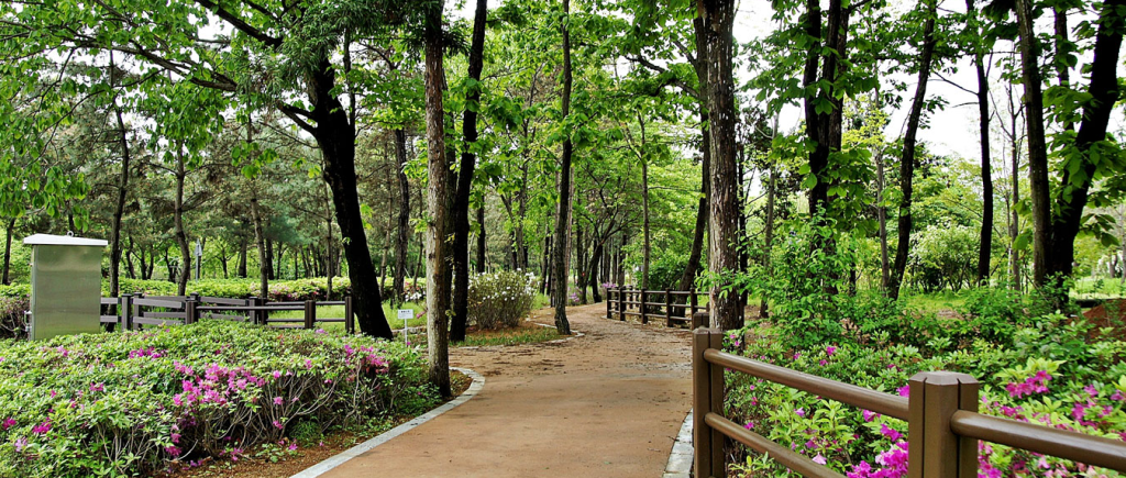 경주 걷기 졶은 길