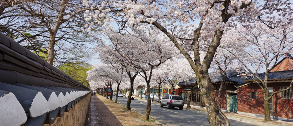 경주 걷기 졶은 길