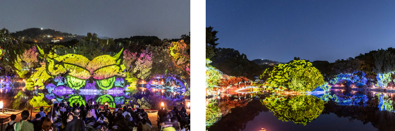 창경궁 물빛연화