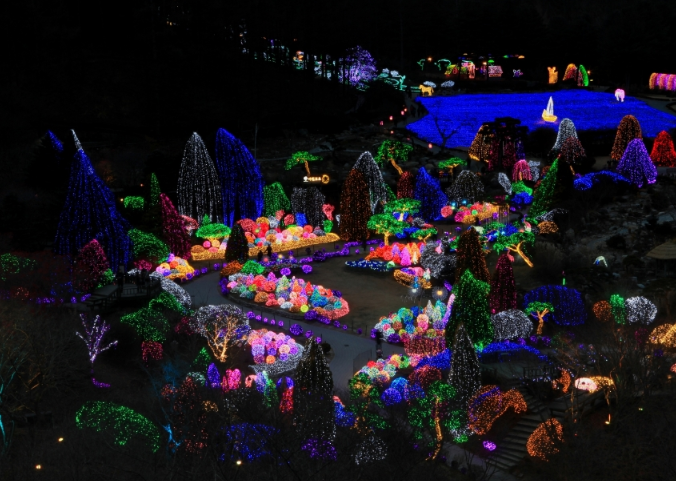 아침고요수목원