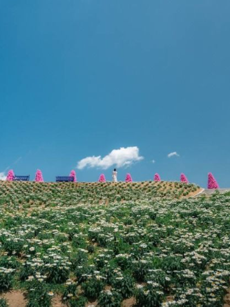 포천 허브아일랜드