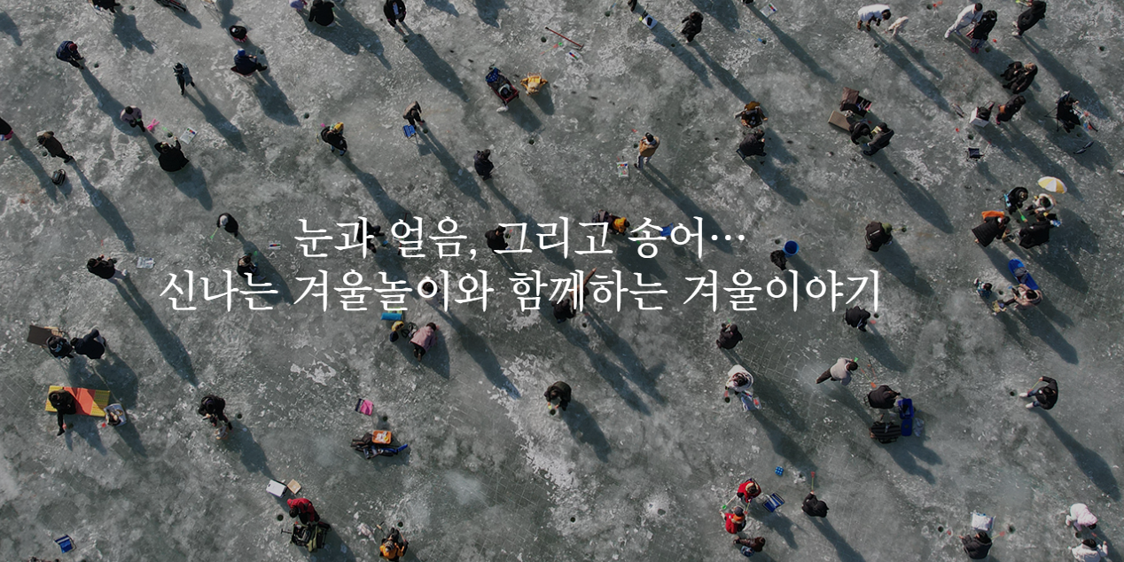 강원도 평창 송어축제 2026: 얼음낚시부터 축제 즐기는 법까지 A to Z