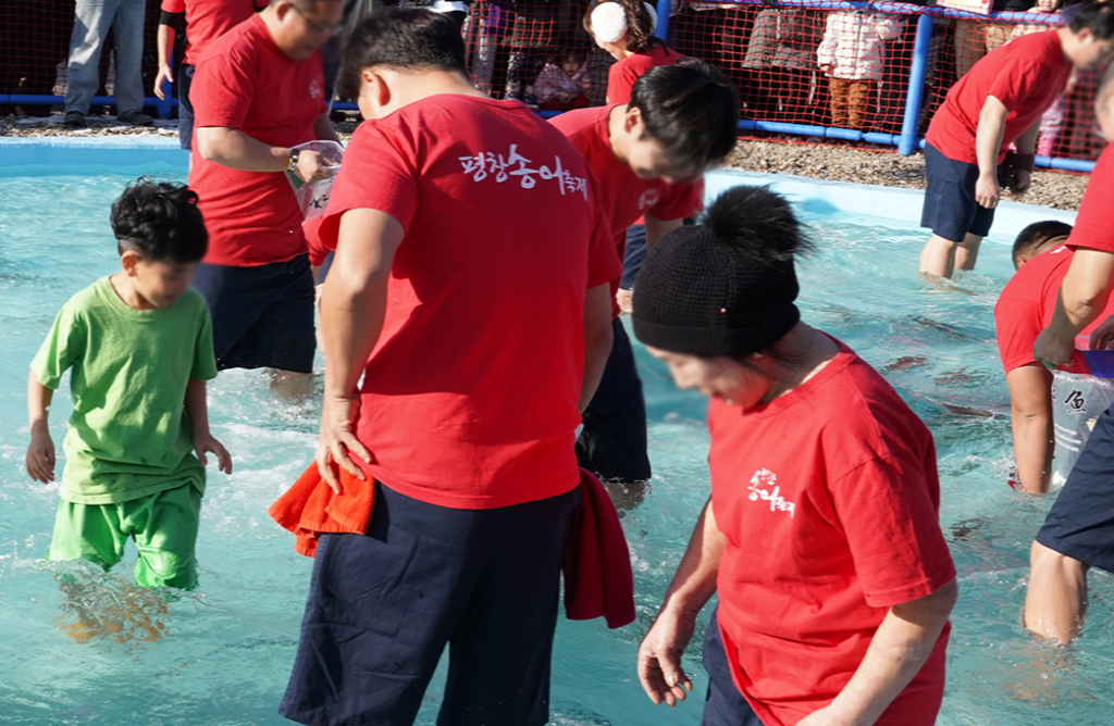 맨손으로 송어잡기