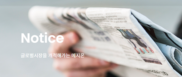 메지온