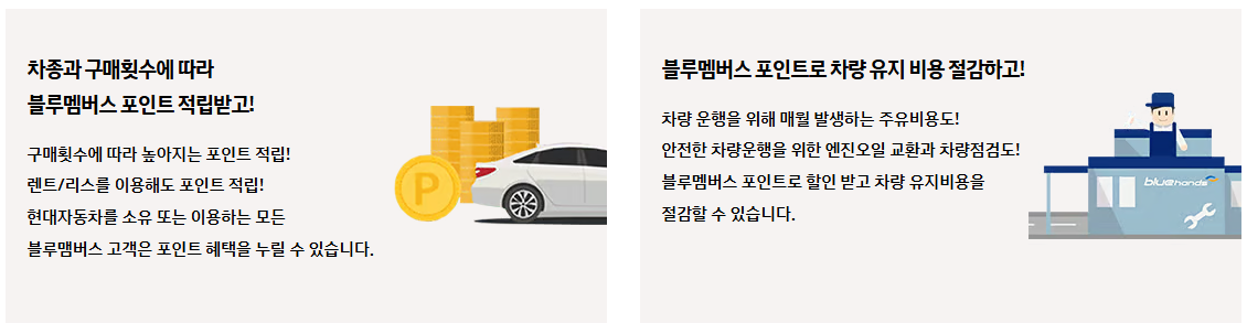 블루멤버스포인트: 최적화된 사용 전략으로 혜택 극대화