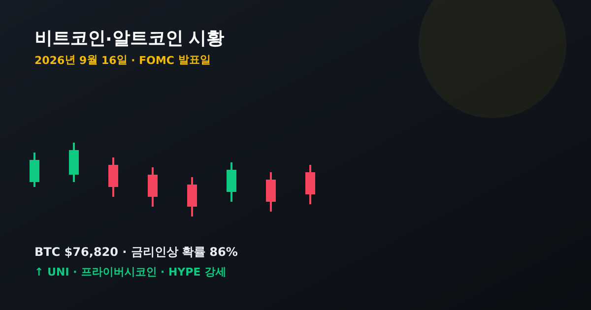 비트코인 알트코인 전망
